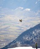 getphpbbimage.php?id=231421