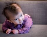 getphpbbimage.php?id=231767