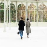 getphpbbimage.php?id=231890