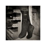 getphpbbimage.php?id=232309