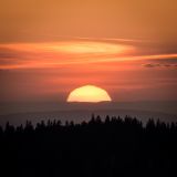 getphpbbimage.php?id=232321