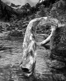 getphpbbimage.php?id=232402