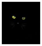 getphpbbimage.php?id=232411