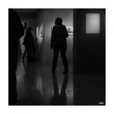 getphpbbimage.php?id=232732