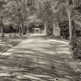 getphpbbimage.php?id=232747