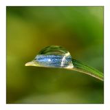 getphpbbimage.php?id=232804