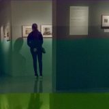 getphpbbimage.php?id=232805