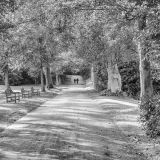 getphpbbimage.php?id=232894