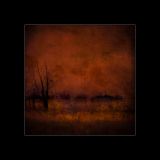 getphpbbimage.php?id=232966