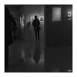 getphpbbimage.php?id=233013