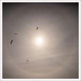 getphpbbimage.php?id=233211