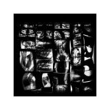 getphpbbimage.php?id=233417