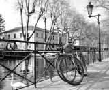 getphpbbimage.php?id=233445