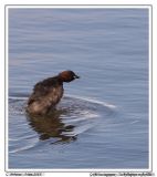 getphpbbimage.php?id=233715