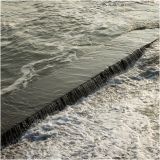 getphpbbimage.php?id=233869