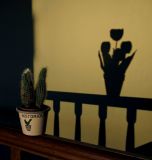 getphpbbimage.php?id=234644