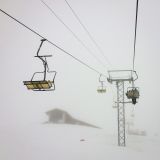 getphpbbimage.php?id=234736