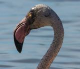 getphpbbimage.php?id=235426