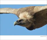 getphpbbimage.php?id=235517