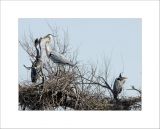 getphpbbimage.php?id=235680