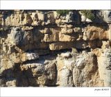 getphpbbimage.php?id=235843