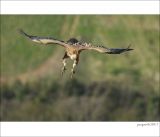 getphpbbimage.php?id=235846