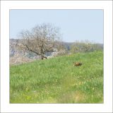 getphpbbimage.php?id=236126