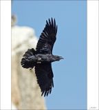 getphpbbimage.php?id=236268