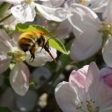 getphpbbimage.php?id=236495