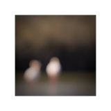 getphpbbimage.php?id=236512