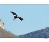 getphpbbimage.php?id=236594