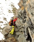 getphpbbimage.php?id=236597