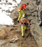 getphpbbimage.php?id=236598