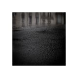 getphpbbimage.php?id=237468