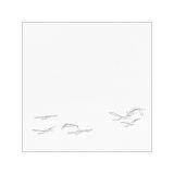 getphpbbimage.php?id=237522