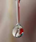 getphpbbimage.php?id=237585