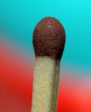 getphpbbimage.php?id=237601