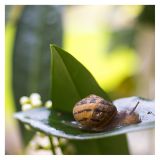 getphpbbimage.php?id=237673