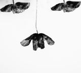 getphpbbimage.php?id=237952