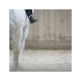 getphpbbimage.php?id=238070