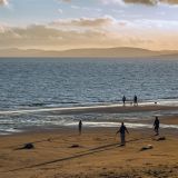 getphpbbimage.php?id=238498