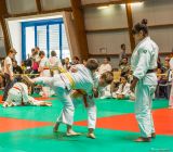 getphpbbimage.php?id=238808