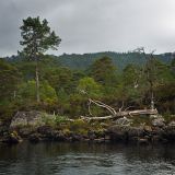 getphpbbimage.php?id=238933