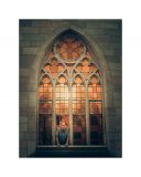 getphpbbimage.php?id=238982