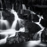 getphpbbimage.php?id=239019