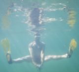 getphpbbimage.php?id=239643