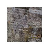 getphpbbimage.php?id=239759