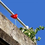 getphpbbimage.php?id=240108