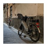 getphpbbimage.php?id=240334