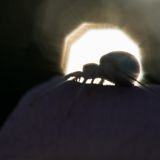 getphpbbimage.php?id=240749